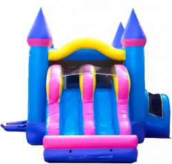 slides 1701106026 Princess Dream Castle Dual Lane (Dry Only)