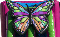 3D Butterfly Combo butterfly transparent 1737150013 3D Butterfly Dual Lane with pool (Wet Only)