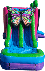 3D Butterfly Combo slide transparent 1737150013 3D Butterfly Dual Lane with pool (Wet Only)